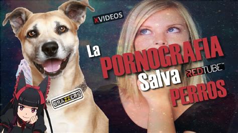 Vídeos porno extremo <strong>Zoofilia con cerdos en espanol</strong> hd. . Pornografia de perros